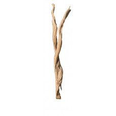 GHOSTWOOD BRANCHY Sanded 48" - OUT OF STOCK - CA ONLY